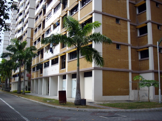 Blk 484D Choa Chu Kang Avenue 5 (Choa Chu Kang), HDB 4 Rooms #65622